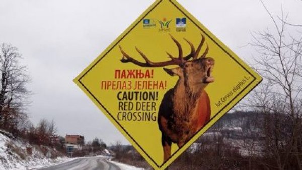 ОБЕЛЕЖЕНИ КОРИДОРИ НА МЕСТИМА СУСРЕТА ЉУДИ И ЖИВОТИЊА: Нове едукативне табле крај путева (ФОТО) ОБЕЛЕЖЕНИ КОРИДОРИ НА МЕСТИМА СУСРЕТА ЉУДИ И ЖИВОТИЊА: Нове едукативне табле крај путева (ФОТО)