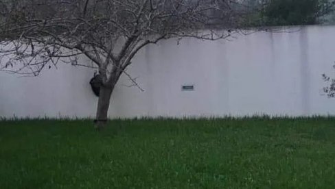 VIDITE LI JEZERO NA SLICI? Pogledajte pažljivije, zapravo ga NEMA! Optička iluzija zaludela mreže VIDITE LI JEZERO NA SLICI? Pogledajte pažljivije, zapravo ga NEMA! Optička iluzija zaludela mreže