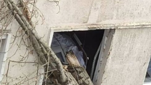 DRVO SE OBRUŠILO NA BOLNICU, UMALO DA PADNE NA KREVET: Neverovatne slike sa Zvezdare (FOTO) DRVO SE OBRUŠILO NA BOLNICU, UMALO DA PADNE NA KREVET: Neverovatne slike sa Zvezdare (FOTO)