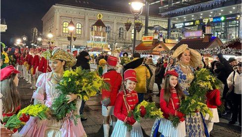 S PRAZNIKOM MIMOZE I KARAVAN PRIJATELJSTVA: Mimoze zamirisale u Beogradu i na Zlatiboru S PRAZNIKOM MIMOZE I KARAVAN PRIJATELJSTVA: Mimoze zamirisale u Beogradu i na Zlatiboru
