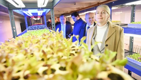 MINISTARKA BEGOVIĆ OBIŠLA INSTITUT ZA POVRTARSTVO: Procenićemo naučni potencijal MINISTARKA BEGOVIĆ OBIŠLA INSTITUT ZA POVRTARSTVO: Procenićemo naučni potencijal