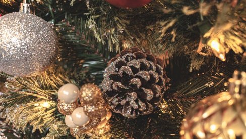 PRAZNIČNA ČAROLIJA NE MORA DA SE ZAVRŠI BACANJEM ŽIVE JELKE: Evo kako da preživi do sledeće godine