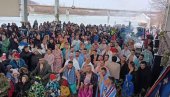 REKORDAN BROJ PLIVAČA: Bogojavljenje obeleženo i na Drini kod Loznice REKORDAN BROJ PLIVAČA: Bogojavljenje obeleženo i na Drini kod Loznice