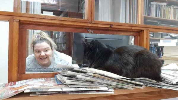 ОГЊЕНКА СЕ ОДОМАЋИЛА У ЧИТАОНИЦИ: Необична црна мачка већ осам година свакодневно долази у градску библиотеку у Вршцу ОГЊЕНКА СЕ ОДОМАЋИЛА У ЧИТАОНИЦИ: Необична црна мачка већ осам година свакодневно долази у градску библиотеку у Вршцу