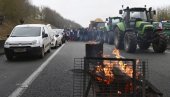 KOROV OBAVEZAN, PARIZ BLOKIRAN: Nastavlja se pobuna dela nezadovoljnih poljoprivrednika KOROV OBAVEZAN, PARIZ BLOKIRAN: Nastavlja se pobuna dela nezadovoljnih poljoprivrednika
