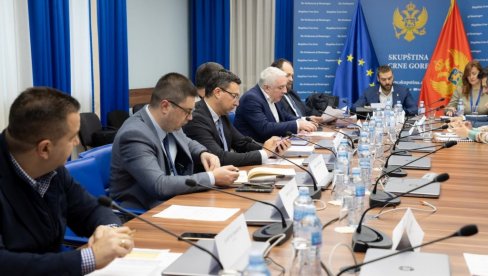 ODBOR CRNOGORSKOG PARLAMENTA O PRITUŽBAMA NA TOK POPISA: Nije bilo fabrikovanja ODBOR CRNOGORSKOG PARLAMENTA O PRITUŽBAMA NA TOK POPISA: Nije bilo fabrikovanja
