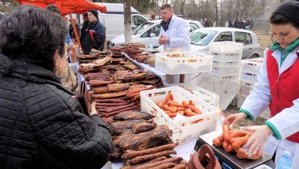 НАЈБОЉА ЈЕ ЉУТА ИЗ БЕЛОГ БЛАТА: Овог викенда јубиларна десета смотра кобацисе (ФОТО) НАЈБОЉА ЈЕ ЉУТА ИЗ БЕЛОГ БЛАТА: Овог викенда јубиларна десета смотра кобацисе (ФОТО)
