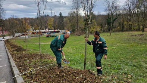 OBAVEZNA SADNJA DRVEĆA: Mere za poboljšanje kvaliteta vazduha i životne sredine u Vrnjačkoj Banji OBAVEZNA SADNJA DRVEĆA: Mere za poboljšanje kvaliteta vazduha i životne sredine u Vrnjačkoj Banji