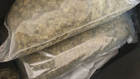U STANOVIMA KILOGRAM I PO MARIHUANE: Dvojica iz Temerina osumnjičeni za trgovinu narkoticima U STANOVIMA KILOGRAM I PO MARIHUANE: Dvojica iz Temerina osumnjičeni za trgovinu narkoticima