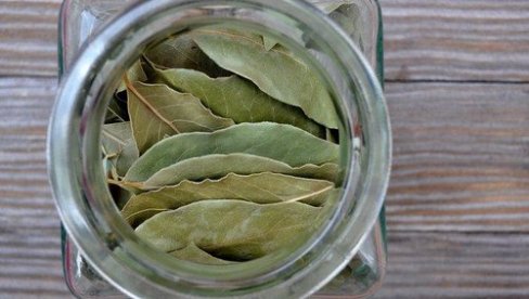 Stavila je LOVOR pod tepih i rešila problem koji muči mnoga domaćinstva