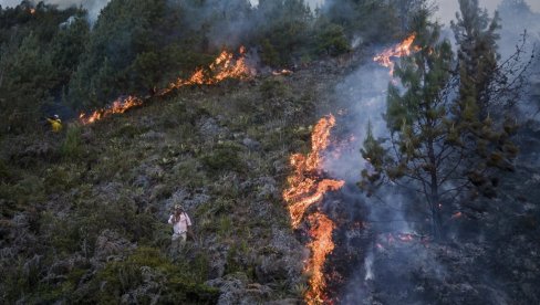 GORELO NA VIŠE OD DESET HEKTARA NA FRUŠKOJ GORI: Vatrogasci posle višečasovne borbe sinoć ugasili požar kod Rakovca