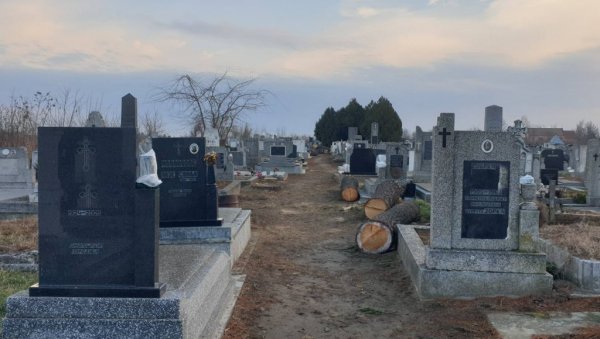 ДРВЕЋЕ (НИ)ЈЕ СМЕТАЛО? Посечена стабла на Железничком гробљу у Кикинди (ФОТО) ДРВЕЋЕ (НИ)ЈЕ СМЕТАЛО? Посечена стабла на Железничком гробљу у Кикинди (ФОТО)