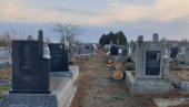 DRVEĆE (NI)JE SMETALO? Posečena stabla na Železničkom groblju u Kikindi (FOTO) DRVEĆE (NI)JE SMETALO? Posečena stabla na Železničkom groblju u Kikindi (FOTO)