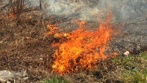 U PODUNAVSKOM OKRUGU MANJE POŽARA NA OTVORENOM: Na snazi crveni alarm i upozorenje na novu opasnost od požara U PODUNAVSKOM OKRUGU MANJE POŽARA NA OTVORENOM: Na snazi crveni alarm i upozorenje na novu opasnost od požara