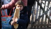 ФОТОГРАФИЈА КОЈА ЈЕ ПОТРЕСЛА СВЕ: Ово је Лена (4) из Коретиста на Косову и Метохији ФОТОГРАФИЈА КОЈА ЈЕ ПОТРЕСЛА СВЕ: Ово је Лена (4) из Коретиста на Косову и Метохији