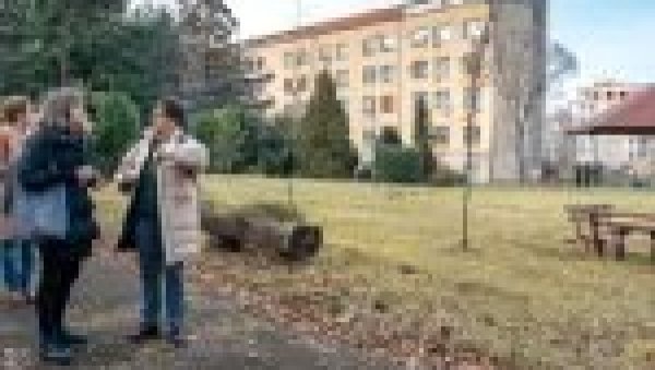 УРЕЂУЈУ ЈАВНЕ ПРОСТОРЕ: Пројекат стдуента Шумарског и Архитектонског факултета