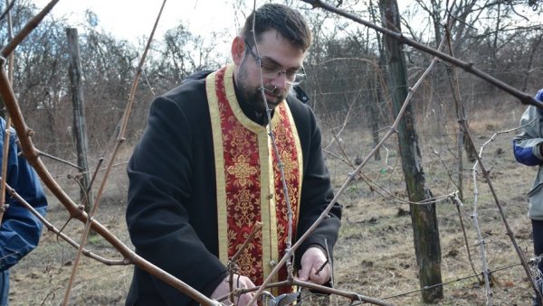 ОБЕЛЕЖЕН ТРИФУНДАН: Централна манифестација на Рајачким пивницама у славу вина (ФОТО) ОБЕЛЕЖЕН ТРИФУНДАН: Централна манифестација на Рајачким пивницама у славу вина (ФОТО)
