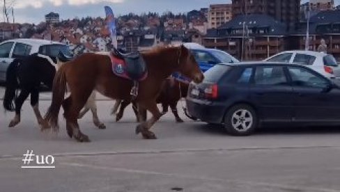 OVO JOŠ NIJE VIĐENO: Provozao automobil kroz Užice, a za njega vezao dva konja i jednog ponija (VIDEO) OVO JOŠ NIJE VIĐENO: Provozao automobil kroz Užice, a za njega vezao dva konja i jednog ponija (VIDEO)