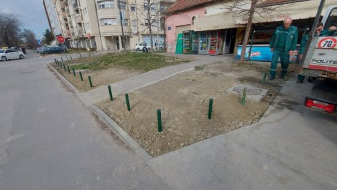 DA AUTOMOBILE NE PARKIRAJU GDE STIGNU : U Novom Sadu postavljaju metalne stubove da zaštite zelene površine DA AUTOMOBILE NE PARKIRAJU GDE STIGNU : U Novom Sadu postavljaju metalne stubove da zaštite zelene površine