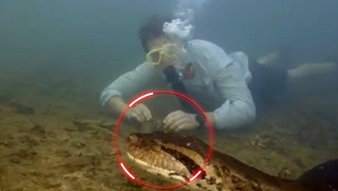 NAUČNICI U ŠOKU: Pronađena NAJVEĆA zmija na svetu (VIDEO) NAUČNICI U ŠOKU: Pronađena NAJVEĆA zmija na svetu (VIDEO)