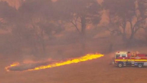EVAKUISANO VIŠE OD 2.000 HILJADE LJUDI: Požari besne Australijom, očekuju se da situacija bude još gora (VIDEO)