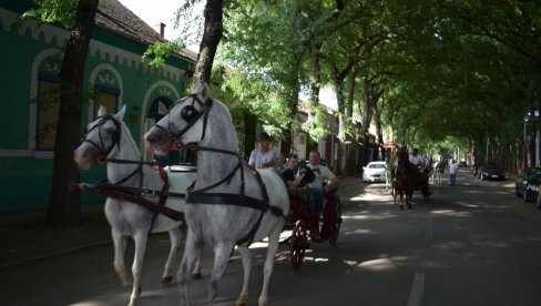 VRELINA ZAUSTAVILA FIJAKERE: Razgledanje Kikinde iz kočija sada u novom terminu VRELINA ZAUSTAVILA FIJAKERE: Razgledanje Kikinde iz kočija sada u novom terminu