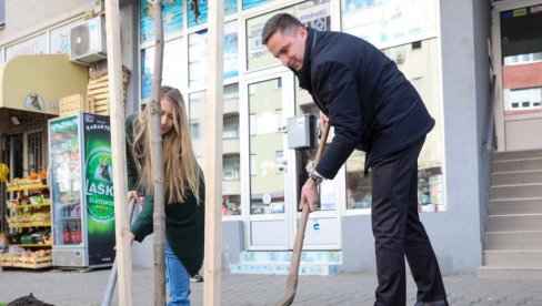 DRVO KESTENA U ČAST DANILA KIŠA : Lep gest povodom dana rođenja velikog pisca DRVO KESTENA U ČAST DANILA KIŠA : Lep gest povodom dana rođenja velikog pisca
