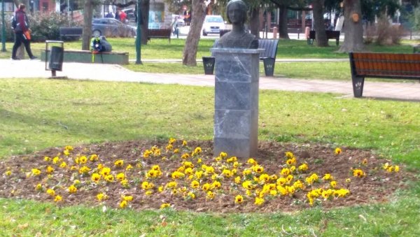 Прве цветне леје у центру Пожаревца Прве цветне леје у центру Пожаревца