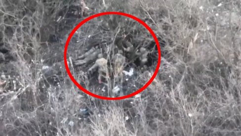 RUSI STRELJAJU UKRAJINSKE ZAROBLJENIKE: Isplivao navodni snimak (UZNEMIRUJUĆI VIDEO) RUSI STRELJAJU UKRAJINSKE ZAROBLJENIKE: Isplivao navodni snimak (UZNEMIRUJUĆI VIDEO)