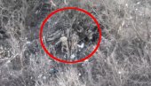 RUSI STRELJAJU UKRAJINSKE ZAROBLJENIKE: Isplivao navodni snimak (UZNEMIRUJUĆI VIDEO) RUSI STRELJAJU UKRAJINSKE ZAROBLJENIKE: Isplivao navodni snimak (UZNEMIRUJUĆI VIDEO)