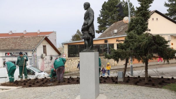 100 РУЖА ЗА ЧИКА ЈОВУ ЗМАЈА : Акција новосадског ЈКП „Градско зеленило“ у Сремској Каменици 100 РУЖА ЗА ЧИКА ЈОВУ ЗМАЈА : Акција новосадског ЈКП „Градско зеленило“ у Сремској Каменици