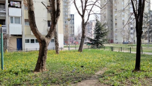 „НОВОСТИ“ САЗНАЈУ - СМРТ БРАЋЕ ИЗ ПЕТРОВАРАДИНА БИЛА НАСИЛНА: Познати резултати обдукције дечака чији су родитељи скочили са зграде „НОВОСТИ“ САЗНАЈУ - СМРТ БРАЋЕ ИЗ ПЕТРОВАРАДИНА БИЛА НАСИЛНА: Познати резултати обдукције дечака чији су родитељи скочили са зграде