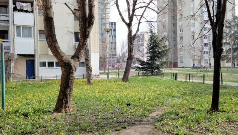 „NOVOSTI“ SAZNAJU - SMRT BRAĆE IZ PETROVARADINA BILA NASILNA: Poznati rezultati obdukcije dečaka čiji su roditelji skočili sa zgrade „NOVOSTI“ SAZNAJU - SMRT BRAĆE IZ PETROVARADINA BILA NASILNA: Poznati rezultati obdukcije dečaka čiji su roditelji skočili sa zgrade