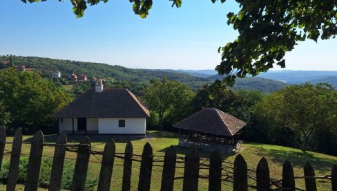 I STEPIN LUG POD ZAŠTITOM: Kompleks šume u Kumodražu, nekadašnji Titov gaj, postaje spomenik prirode