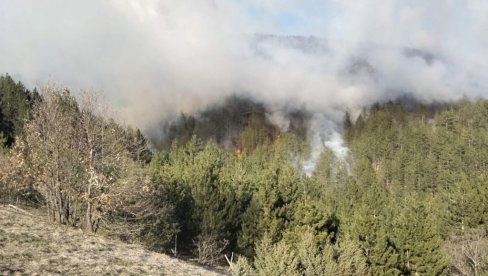 GORI 20 HEKTARA: Šumski požar u Ibarskoj klisuri kod varošice Ušće GORI 20 HEKTARA: Šumski požar u Ibarskoj klisuri kod varošice Ušće