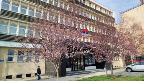 STABLA U CVATU MAME LEPOTOM: Stiglo proleće ispred paraćinskog Suda (FOTO) STABLA U CVATU MAME LEPOTOM: Stiglo proleće ispred paraćinskog Suda (FOTO)