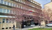 STABLA U CVATU MAME LEPOTOM: Stiglo proleće ispred paraćinskog Suda (FOTO) STABLA U CVATU MAME LEPOTOM: Stiglo proleće ispred paraćinskog Suda (FOTO)
