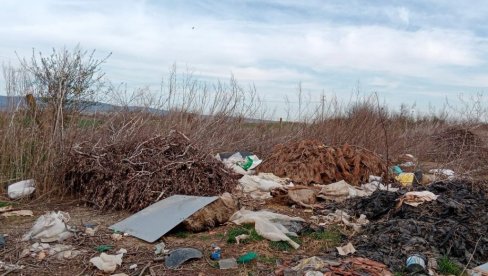 (NE) STREPE OD ZARAZE: Problem nesavesnog odlaganja životinjskog otpada na teritoriji Iriga (NE) STREPE OD ZARAZE: Problem nesavesnog odlaganja životinjskog otpada na teritoriji Iriga