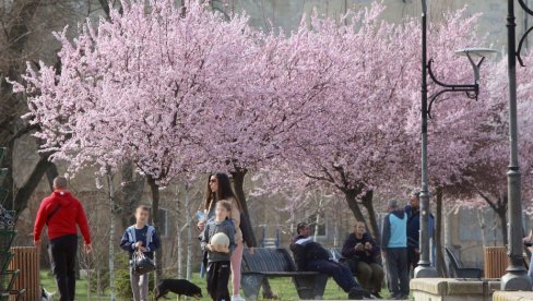 BEHAR PROBEHARAO NA SMEDEREVSKOM KEJU: Miris proleća širi se gradom (FOTO)