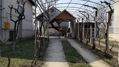 NOVOSTI SAZNAJU: Preuzeto telo Lava P. S. (25) NOVOSTI SAZNAJU: Preuzeto telo Lava P. S. (25)