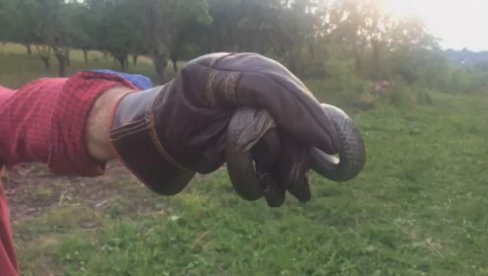 ČAČANIN IMA NEOBIČNU MOĆ KOJA SE U NJEGOVOJ PORODICI NASLEĐUJE S KOLENA NA KOLENO: Dejan sa zmijama - razgovara! ČAČANIN IMA NEOBIČNU MOĆ KOJA SE U NJEGOVOJ PORODICI NASLEĐUJE S KOLENA NA KOLENO: Dejan sa zmijama - razgovara!