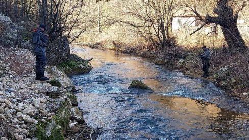 PECAROŠI LOVILI KRALJICU BRZAKA: Sezona varaličarenja pastrmke otvorena u kanjonu reke Crnice, kod Zabrege PECAROŠI LOVILI KRALJICU BRZAKA: Sezona varaličarenja pastrmke otvorena u kanjonu reke Crnice, kod Zabrege