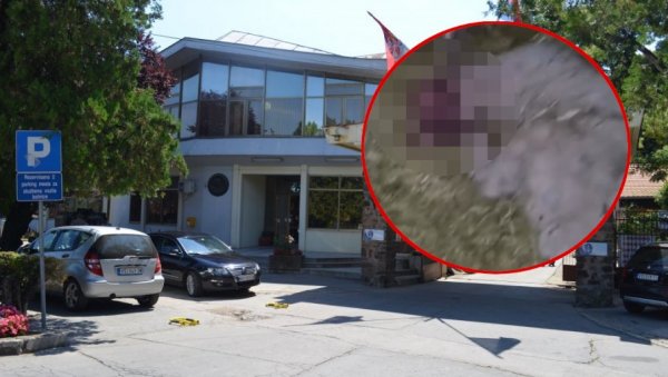 ДЕЧАК КОЈИ ЈЕ ПОБИО ЈАГАЊЦЕ СМЕШТЕН НА ПСИХИЈАТРИЈУ: Језива судбина натерала га на страшан чин ДЕЧАК КОЈИ ЈЕ ПОБИО ЈАГАЊЦЕ СМЕШТЕН НА ПСИХИЈАТРИЈУ: Језива судбина натерала га на страшан чин