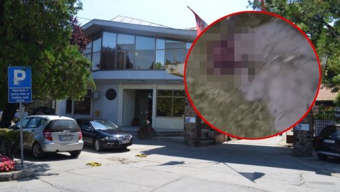 DEČAK KOJI JE POBIO JAGANJCE SMEŠTEN NA PSIHIJATRIJU: Jeziva sudbina naterala ga na strašan čin DEČAK KOJI JE POBIO JAGANJCE SMEŠTEN NA PSIHIJATRIJU: Jeziva sudbina naterala ga na strašan čin