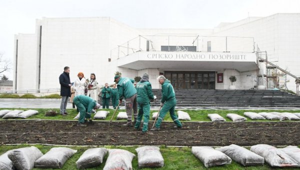 ОД ХРАСТА И ЈАБЛАНА ДО УКРАСНЕ ШЉИВЕ И ТРЕШЊЕ: Богате активности на озелењавању Новог Сада у сусрет пролећу