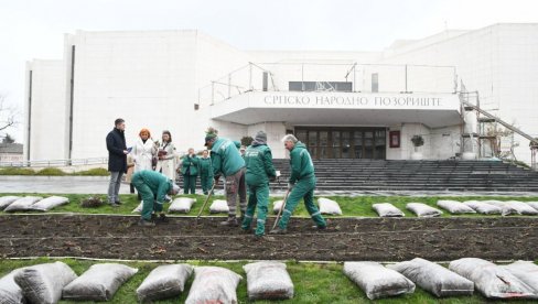 OD HRASTA I JABLANA DO UKRASNE ŠLJIVE I TREŠNJE: Bogate aktivnosti na ozelenjavanju Novog Sada u susret proleću OD HRASTA I JABLANA DO UKRASNE ŠLJIVE I TREŠNJE: Bogate aktivnosti na ozelenjavanju Novog Sada u susret proleću