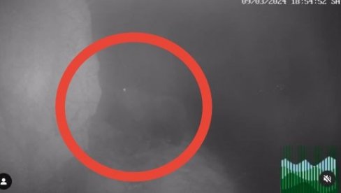 KAKAV PRIZOR SA KOPAONIKA! Pogledajte - Kamere snimile mrkog medveda (VIDEO) KAKAV PRIZOR SA KOPAONIKA! Pogledajte - Kamere snimile mrkog medveda (VIDEO)