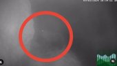 KAKAV PRIZOR SA KOPAONIKA! Pogledajte - Kamere snimile mrkog medveda (VIDEO) KAKAV PRIZOR SA KOPAONIKA! Pogledajte - Kamere snimile mrkog medveda (VIDEO)