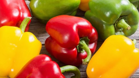 ZAŠTO IM SE CENA RAZLIKUJE I KAKAV JE UKUS? Koja je razlika između žutih, crvenih i zelenih paprika