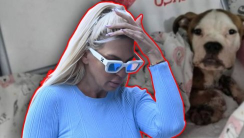 UMALO UBIJEN: JK mu pomogla, hitno operisan - dva terijera ga izgrizla skoro do smrti (FOTO) UMALO UBIJEN: JK mu pomogla, hitno operisan - dva terijera ga izgrizla skoro do smrti (FOTO)